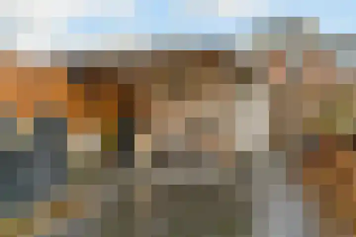 Simon de Vliegerhage 107 Nieuwegein thumbnail 34