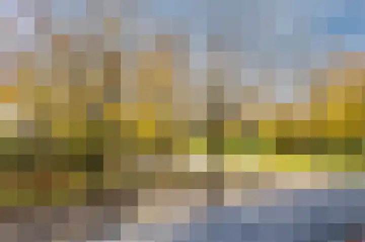 Simon de Vliegerhage 125 Nieuwegein thumbnail 31