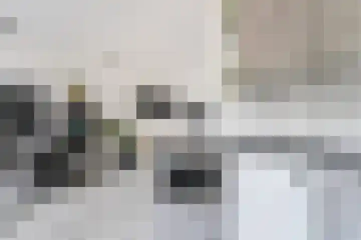 Simon de Vliegerlaan 36 a Vlissingen thumbnail 14