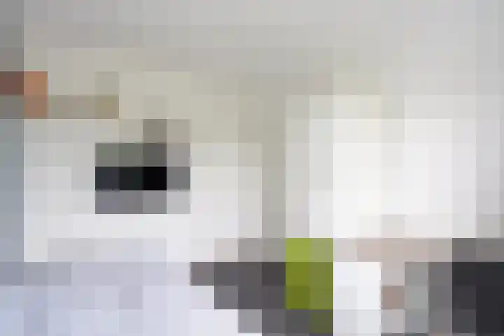 Simon de Vliegerlaan 36 a Vlissingen thumbnail 18