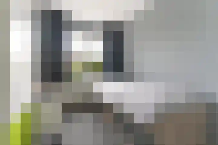 Simon de Vliegerlaan 36 a Vlissingen thumbnail 19