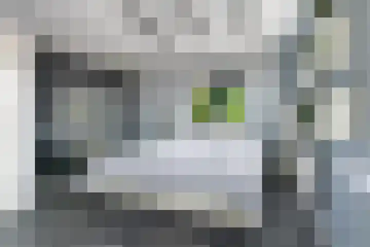 Simon de Vliegerlaan 36 a Vlissingen thumbnail 21