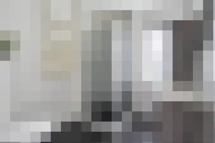 Simon de Vliegerlaan 36 a Vlissingen thumbnail 23