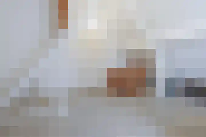 Simon de Vliegerlaan 36 a Vlissingen thumbnail 26