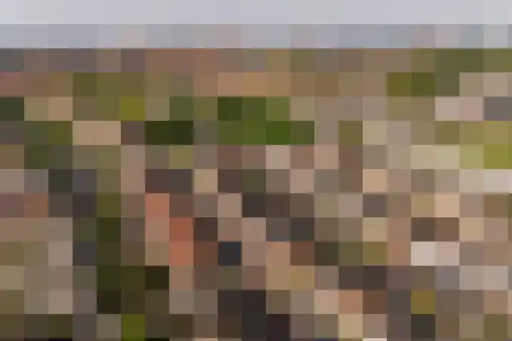 Simon de Vliegerlaan 49 Vlissingen thumbnail 7