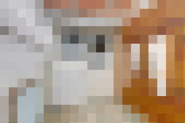 Simon de Vliegerlaan 61 Vlissingen thumbnail 20