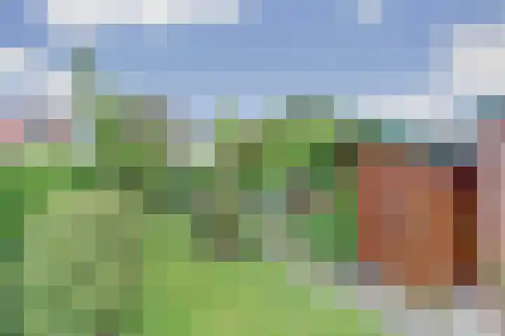 Simon de Vliegerlaan 61 Vlissingen thumbnail 4