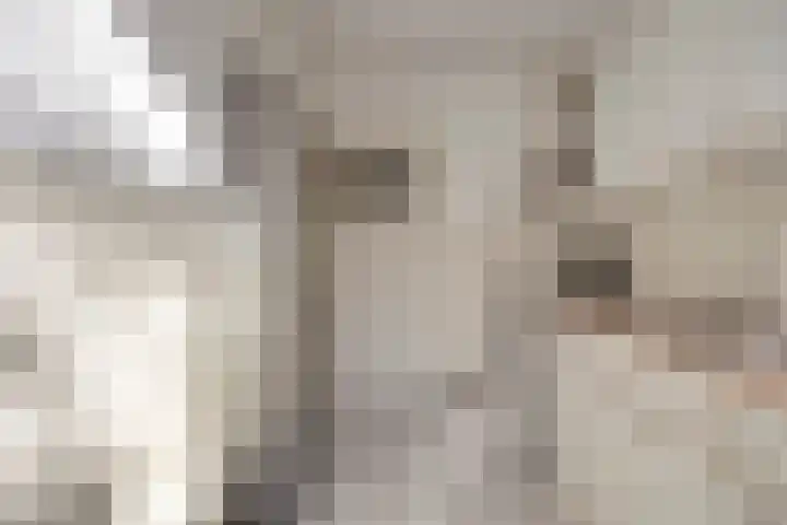 Simon de Vliegerstraat 3 Eindhoven thumbnail 17