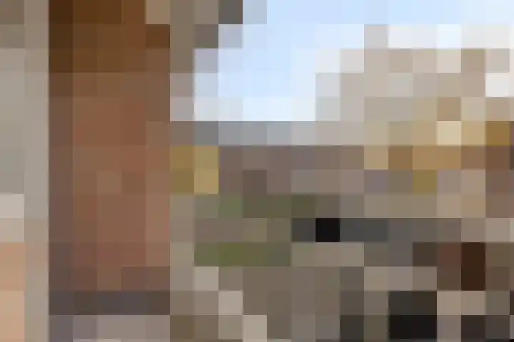 Simon de Vliegerstraat 3 Eindhoven thumbnail 22
