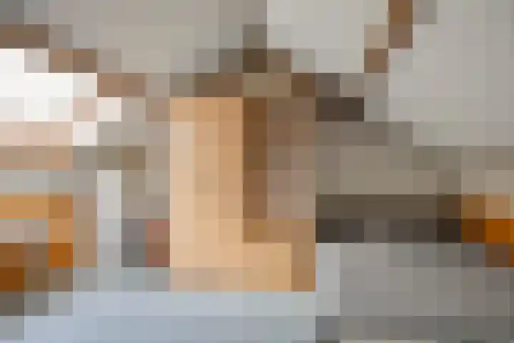 Simon de Vliegerstraat 3 Eindhoven thumbnail 34