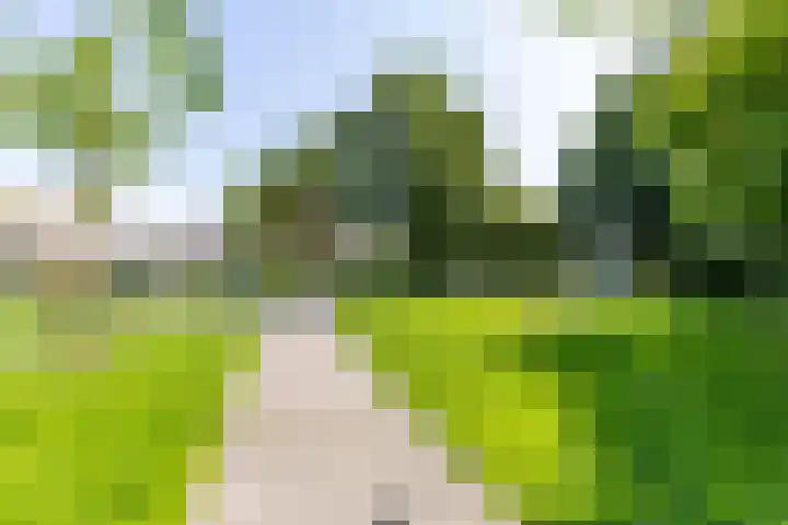 Simon de Vliegerstraat 64 Leeuwarden thumbnail 64