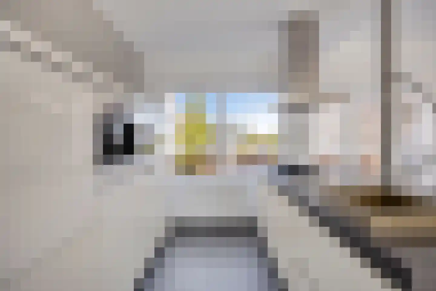 Simon de Witstraat 76 Zaandam thumbnail 21