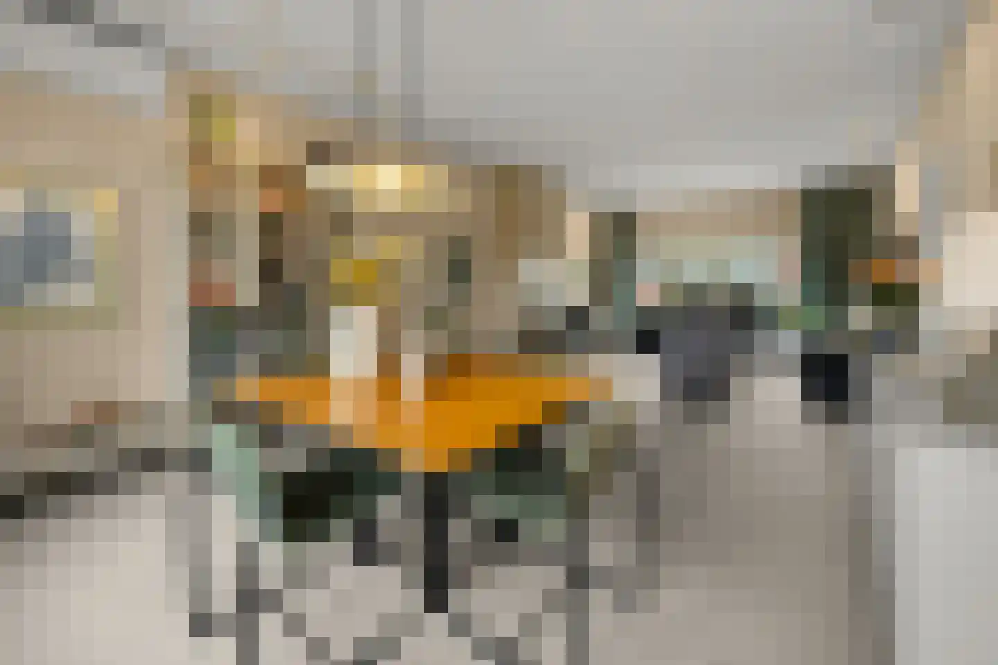 Simon Gammerkade 9 Zaandijk thumbnail 10
