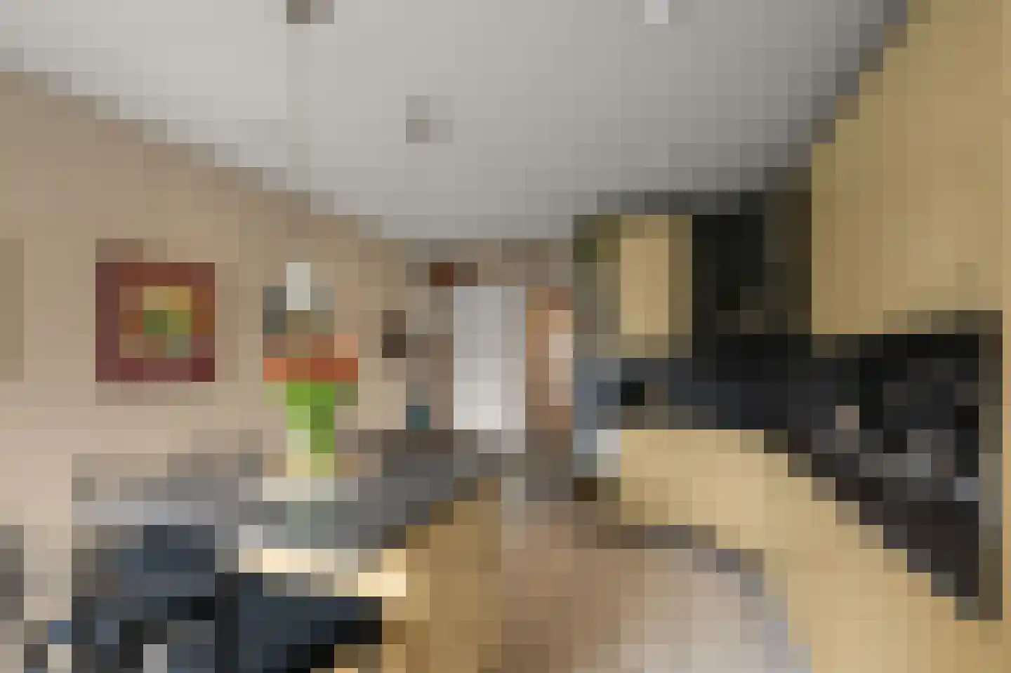 Simon Gammerkade 9 Zaandijk thumbnail 15