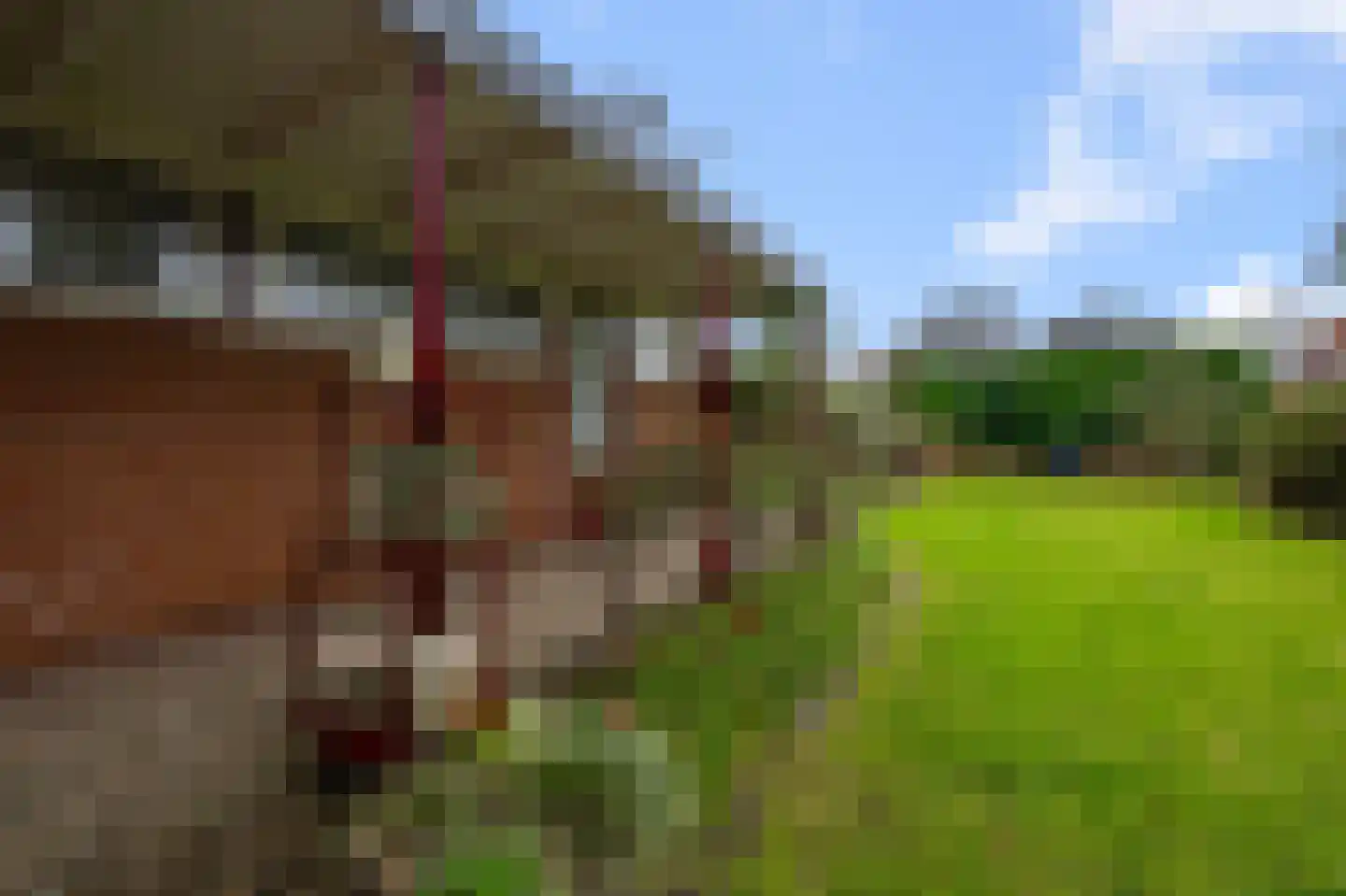 Simon Gammerkade 9 Zaandijk thumbnail 17