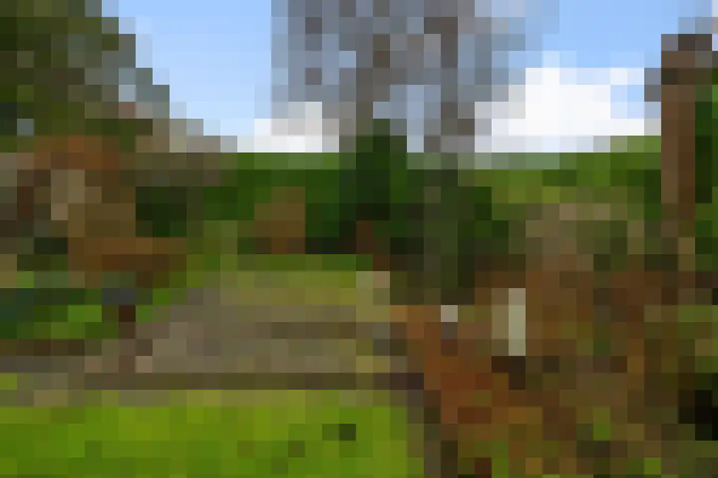 Simon Gammerkade 9 Zaandijk thumbnail 20