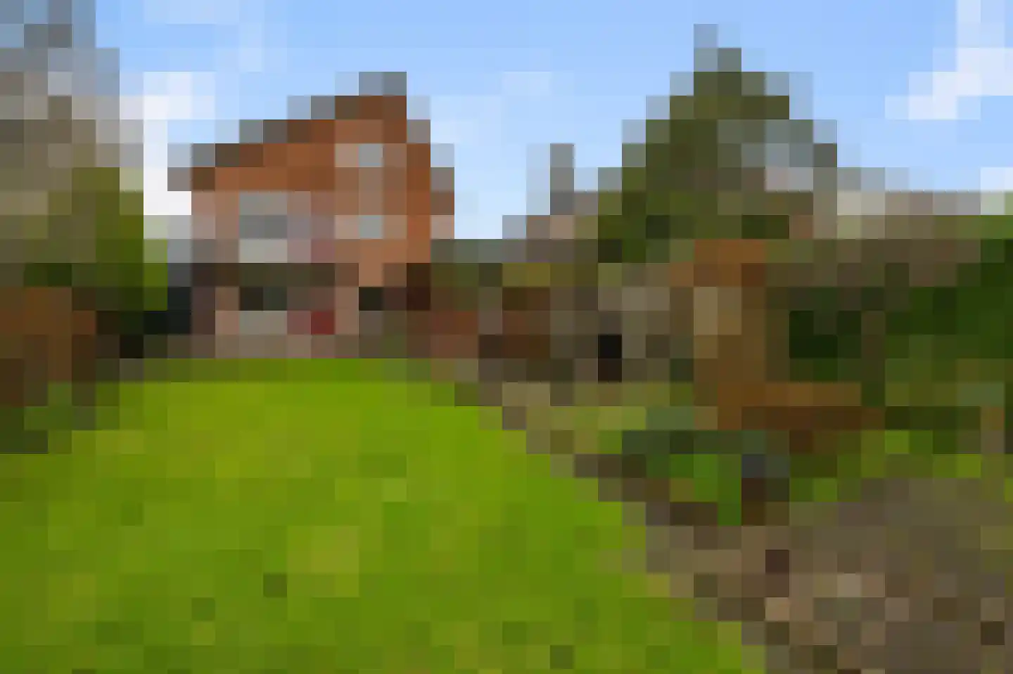 Simon Gammerkade 9 Zaandijk thumbnail 21