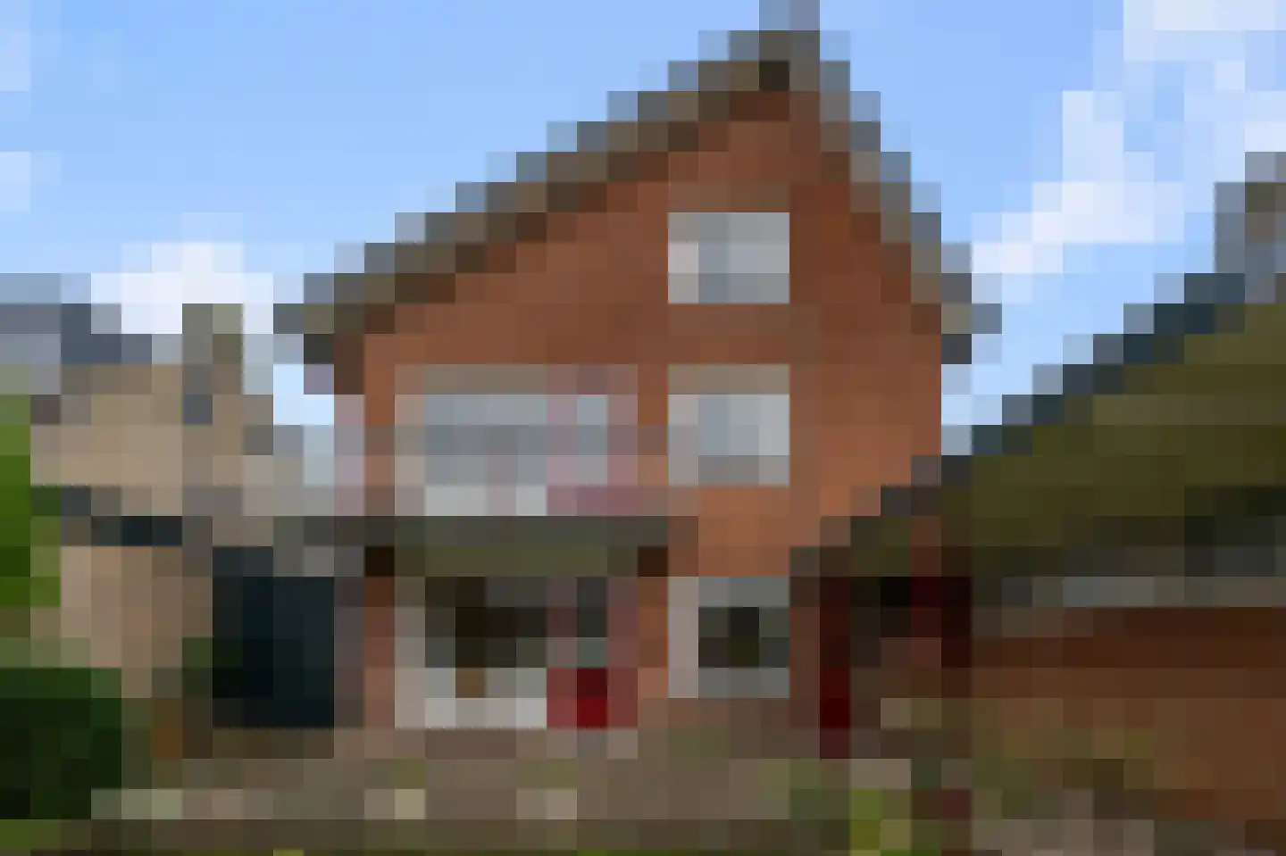 Simon Gammerkade 9 Zaandijk thumbnail 23