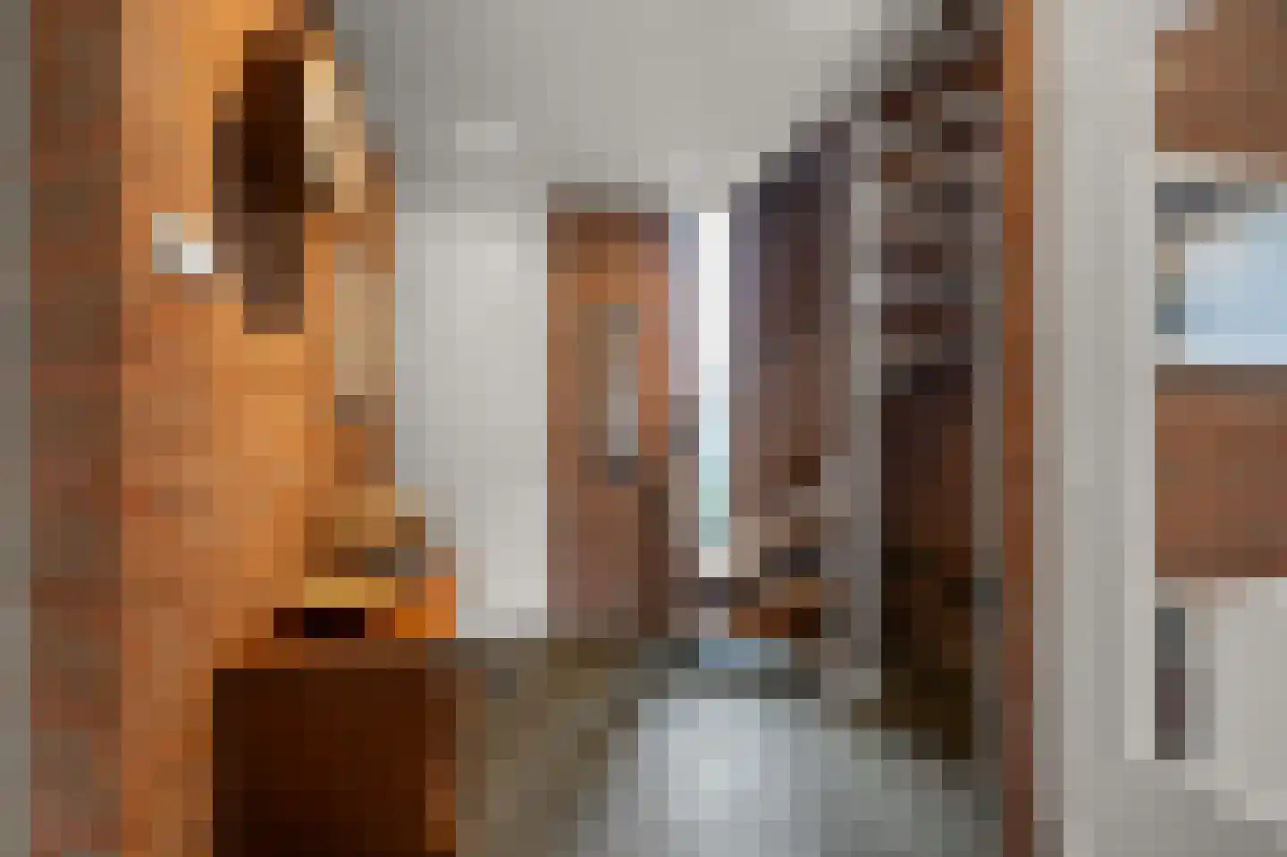 Simon Gammerkade 9 Zaandijk thumbnail 24