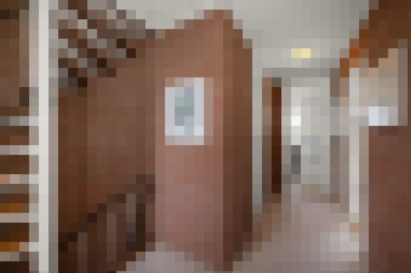 Simon Gammerkade 9 Zaandijk thumbnail 27