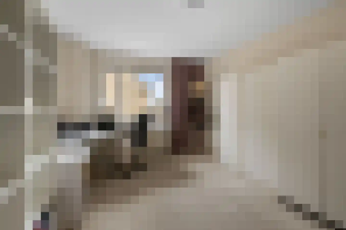 Simon Gammerkade 9 Zaandijk thumbnail 29