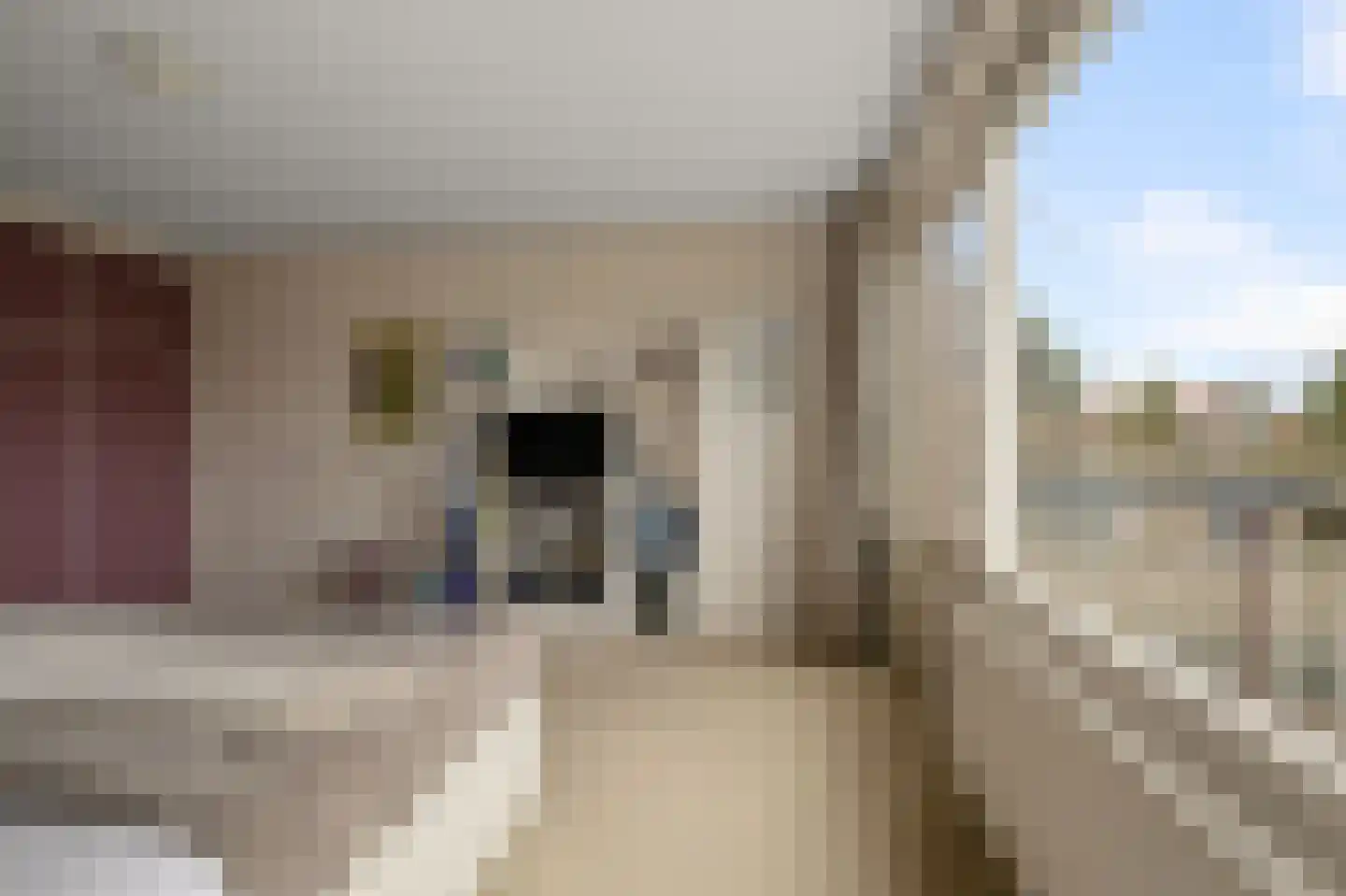 Simon Gammerkade 9 Zaandijk thumbnail 37
