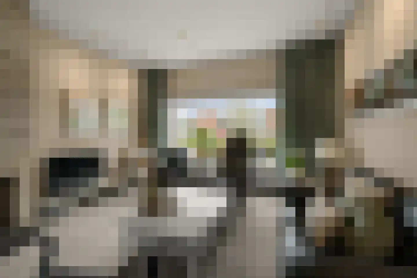 Simon Gammerkade 9 Zaandijk thumbnail 5