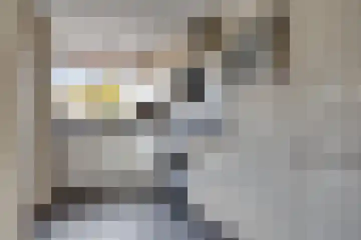 Simon Johannesstraat 32 IJsselmuiden thumbnail 16
