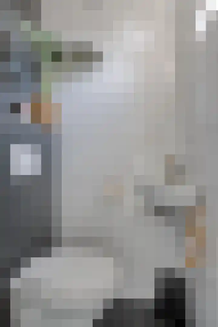 Simon Johannesstraat 32 IJsselmuiden thumbnail 8