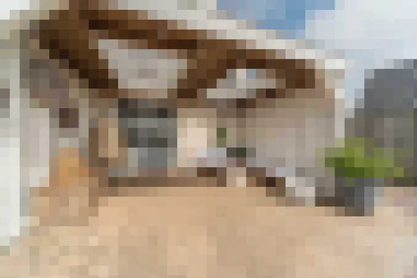 Simon Koopmanstraat 11 Wervershoof thumbnail 53