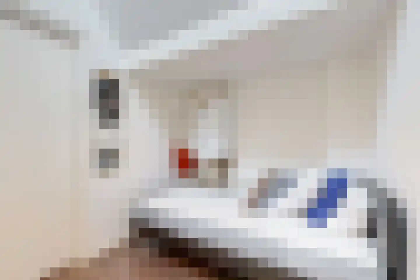 Simon Koopmanstraat 2 A Wervershoof thumbnail 18