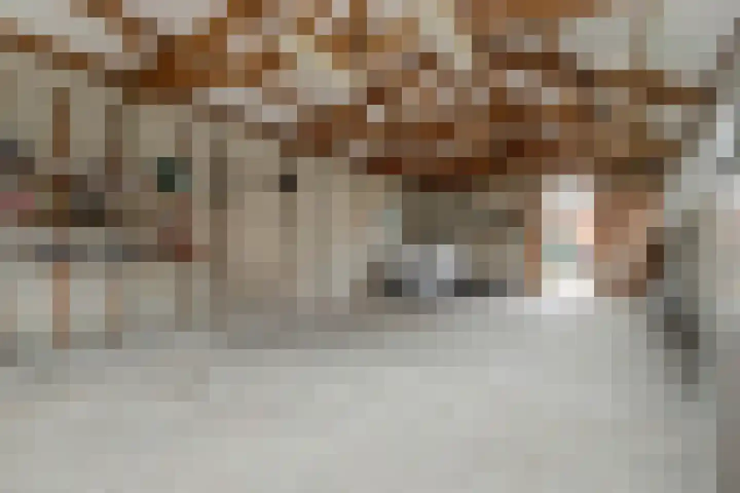 Simon Koopmanstraat 46 Wervershoof thumbnail 24