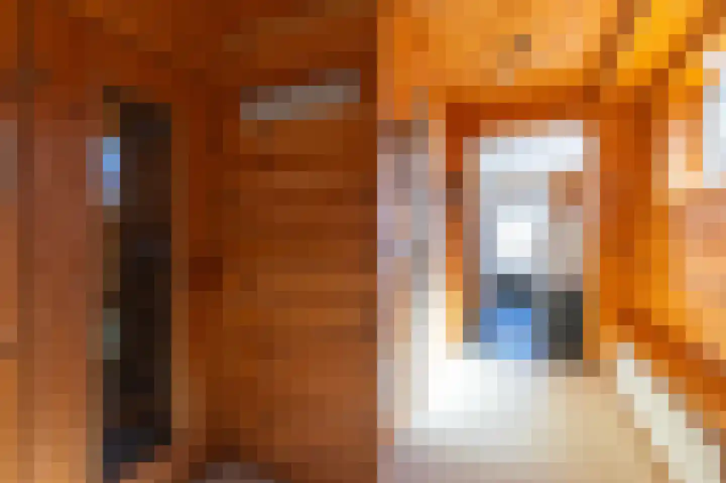 Simon Koopmanstraat 76 Wervershoof thumbnail 31