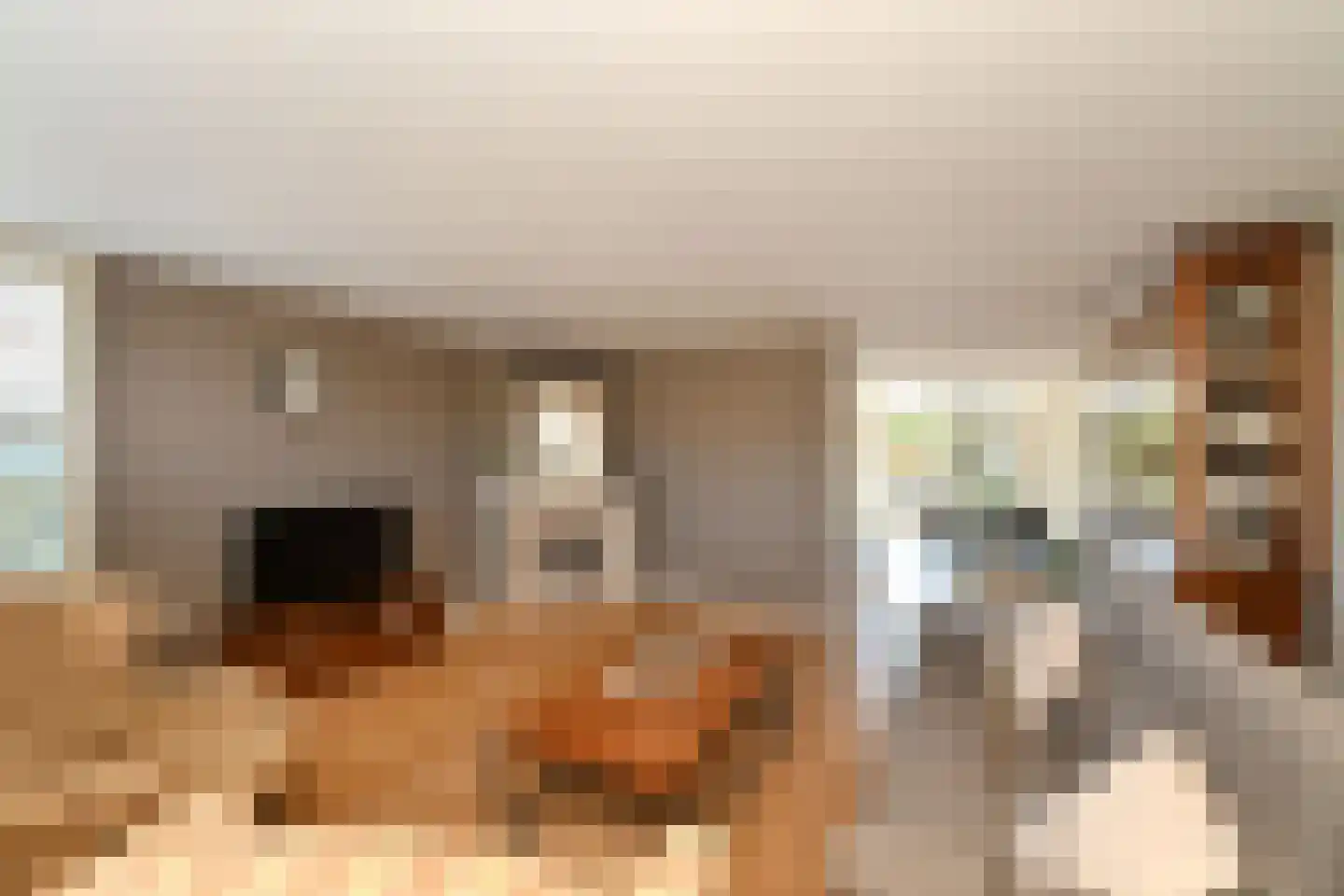 Simon Luymesstraat 1 Nieuw-Vossemeer thumbnail 4