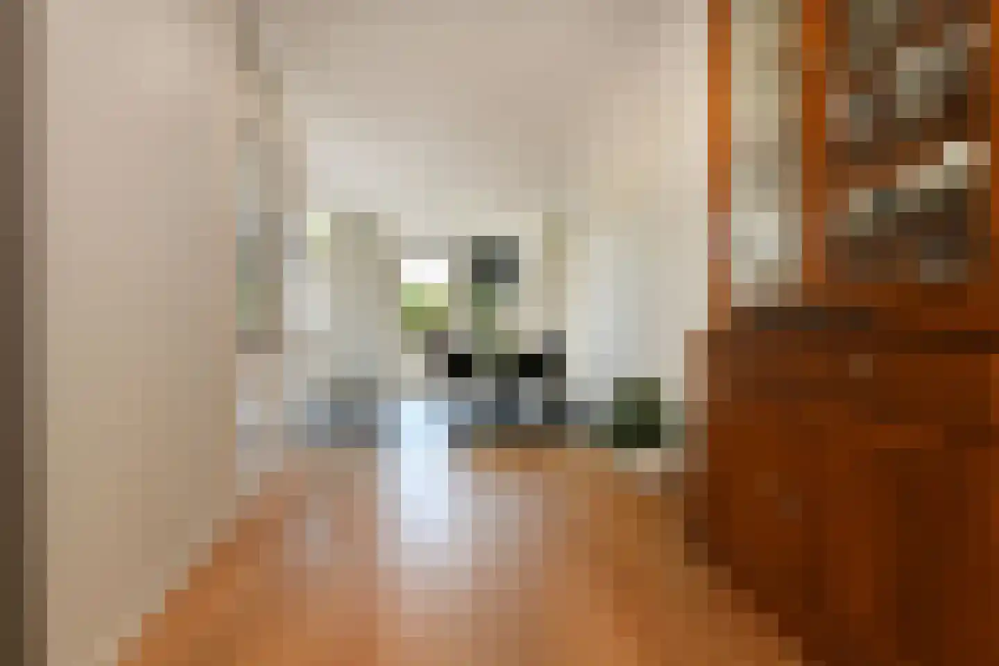 Simon Luymesstraat 1 Nieuw-Vossemeer thumbnail 8