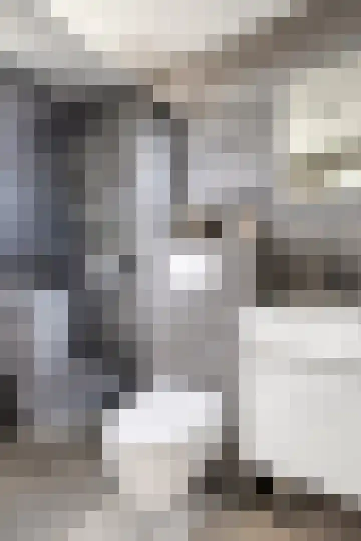 Simon Luymesstraat 15 Nieuw-Vossemeer thumbnail 27
