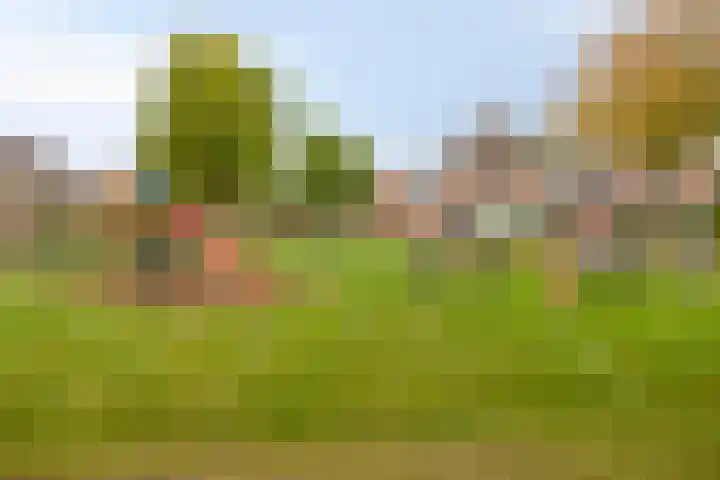 Simon Luymesstraat 15 Nieuw-Vossemeer thumbnail 45