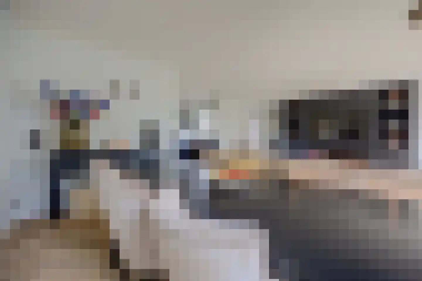 Simon Moulijnstraat 6 Renkum thumbnail 17