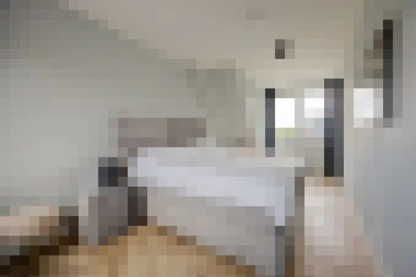 Simon Moulijnstraat 6 Renkum thumbnail 24