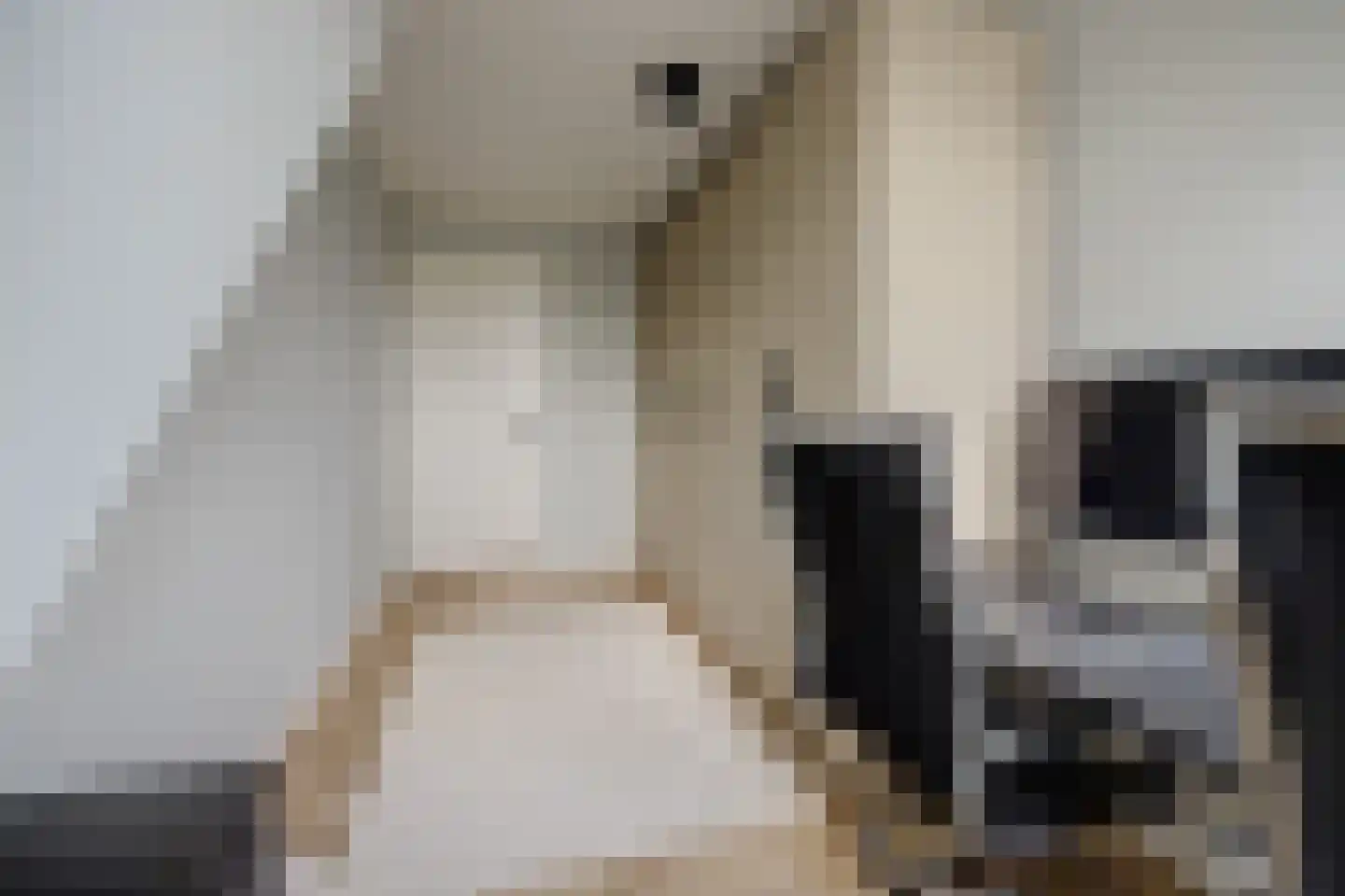Simon Moulijnstraat 6 Renkum thumbnail 27