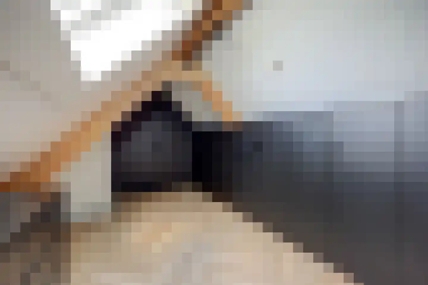 Simon Moulijnstraat 6 Renkum thumbnail 33