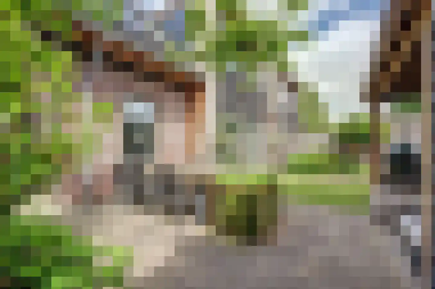 Simon Moulijnstraat 6 Renkum thumbnail 38