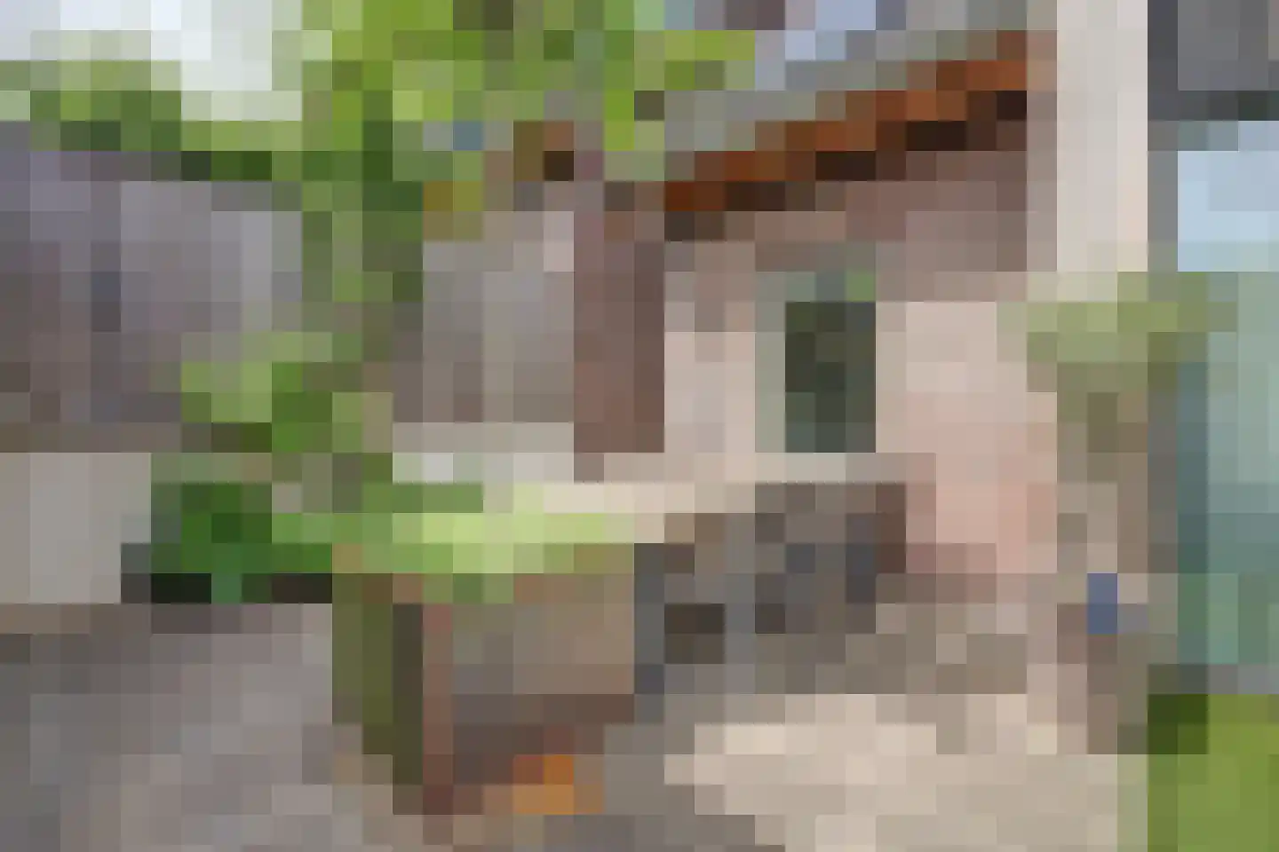 Simon Moulijnstraat 6 Renkum thumbnail 39