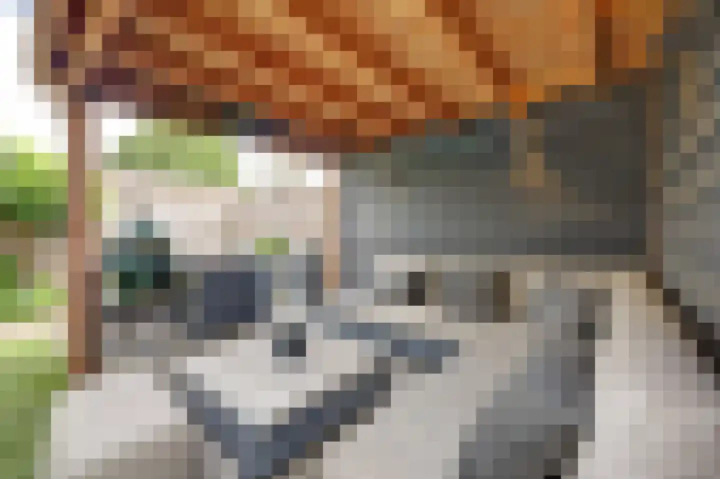 Simon Moulijnstraat 6 Renkum thumbnail 41