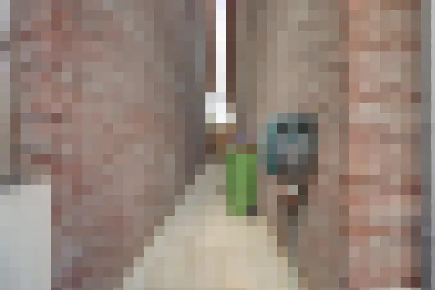 Simon Moulijnstraat 6 Renkum thumbnail 43
