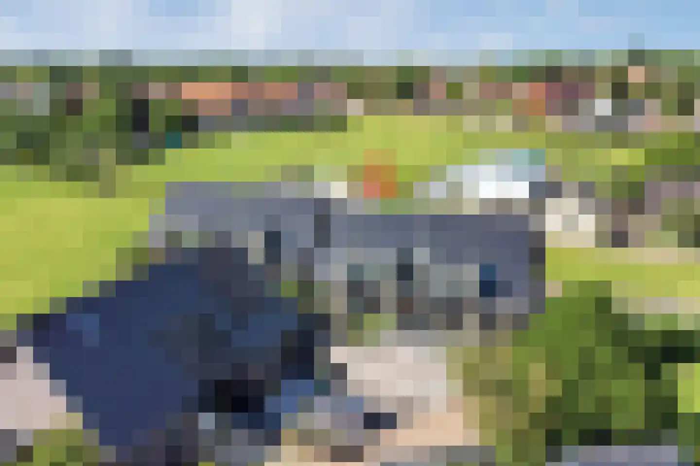 Simon Moulijnstraat 6 Renkum thumbnail 47