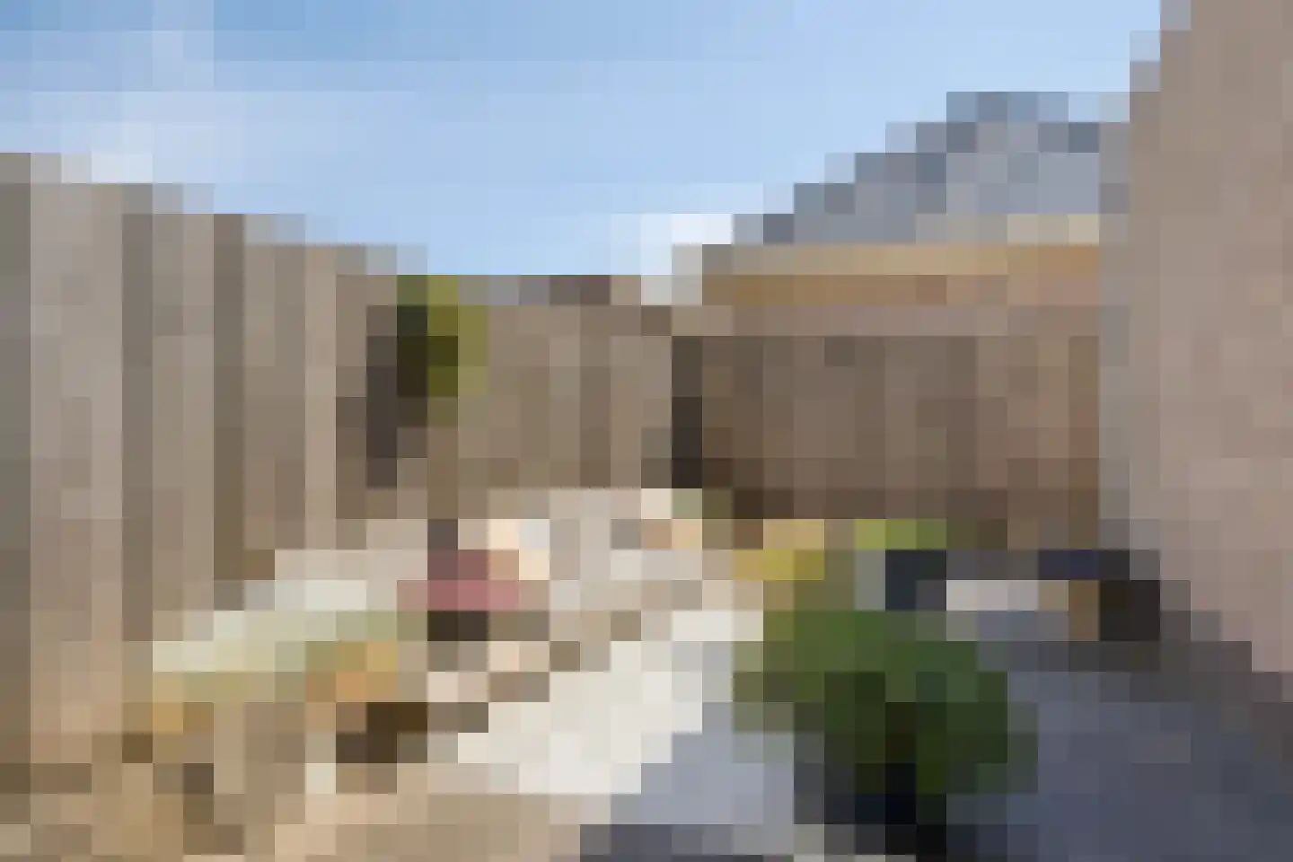 Simon Pauwelslaan 19 Akersloot thumbnail 30
