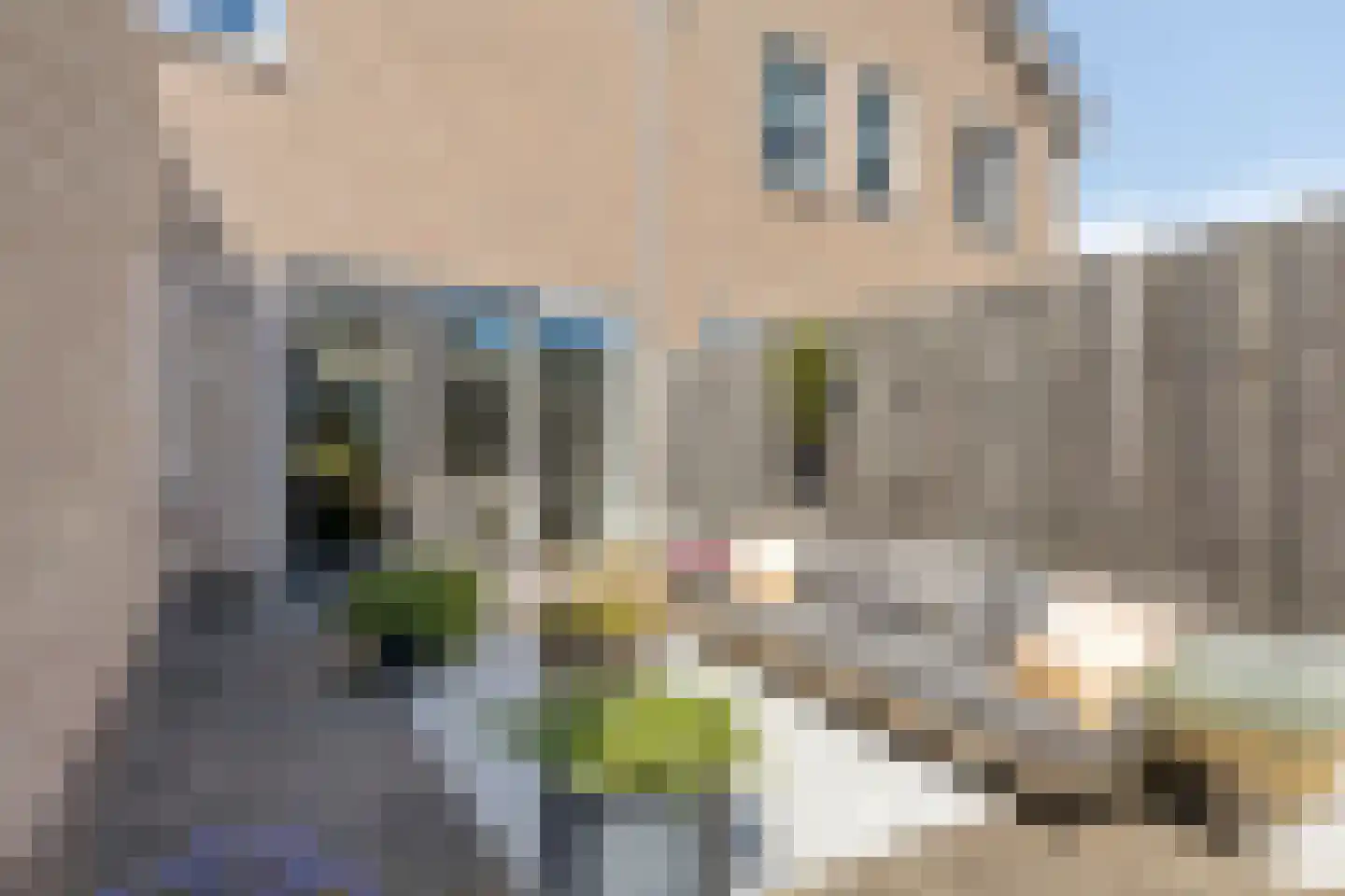 Simon Pauwelslaan 19 Akersloot thumbnail 31