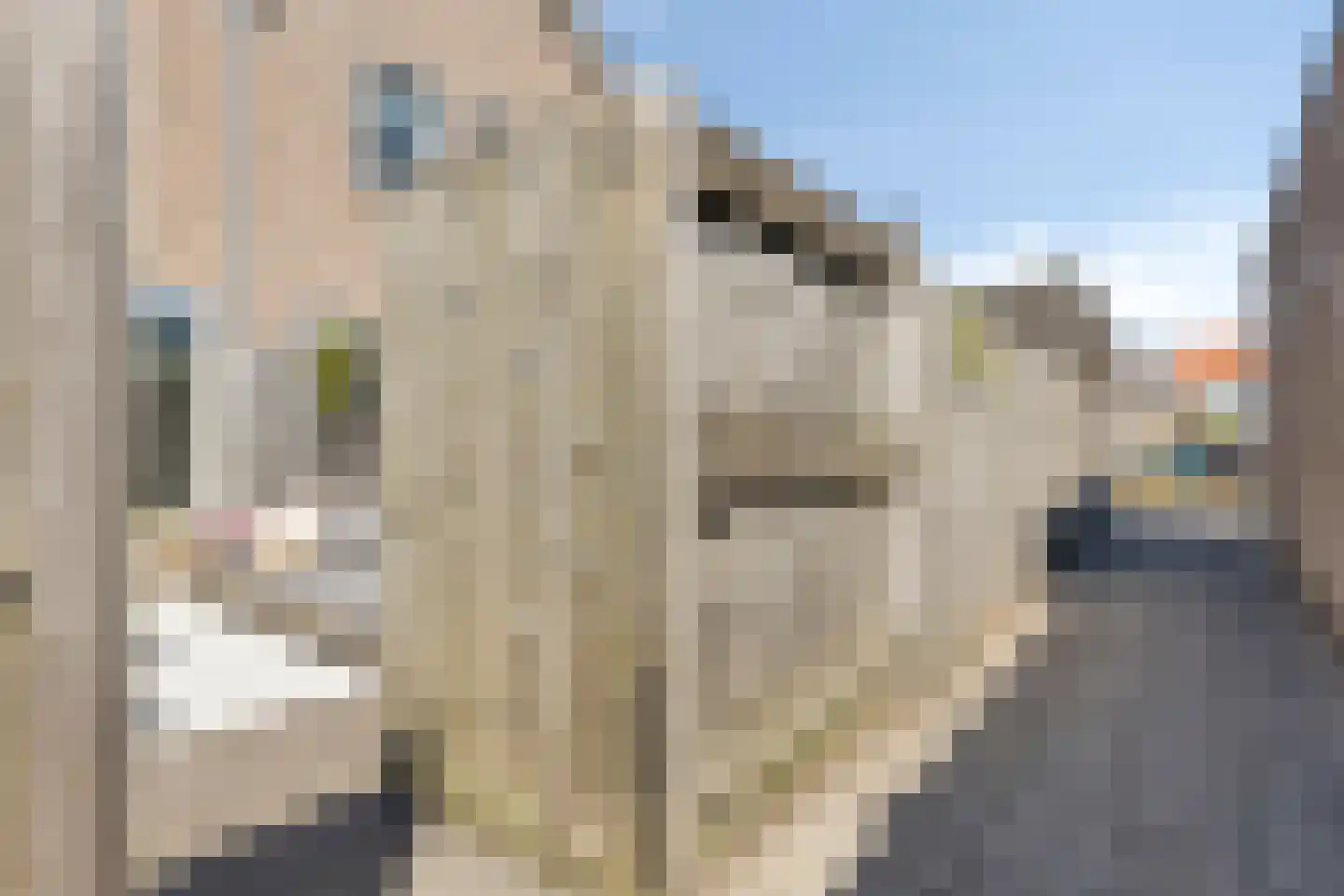 Simon Pauwelslaan 19 Akersloot thumbnail 34