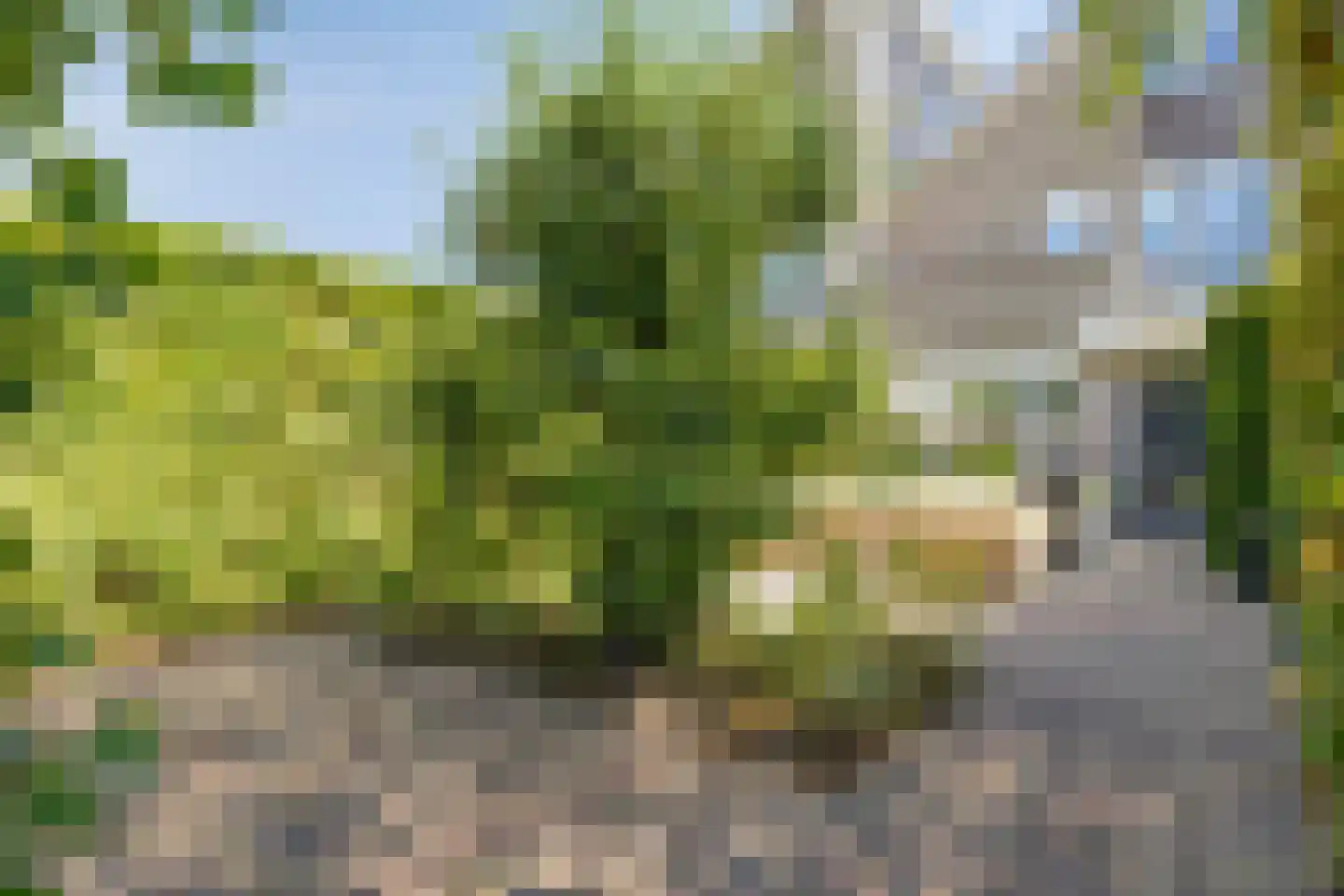 Simon Pauwelslaan 19 Akersloot thumbnail 35